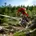 DH MTB Racing